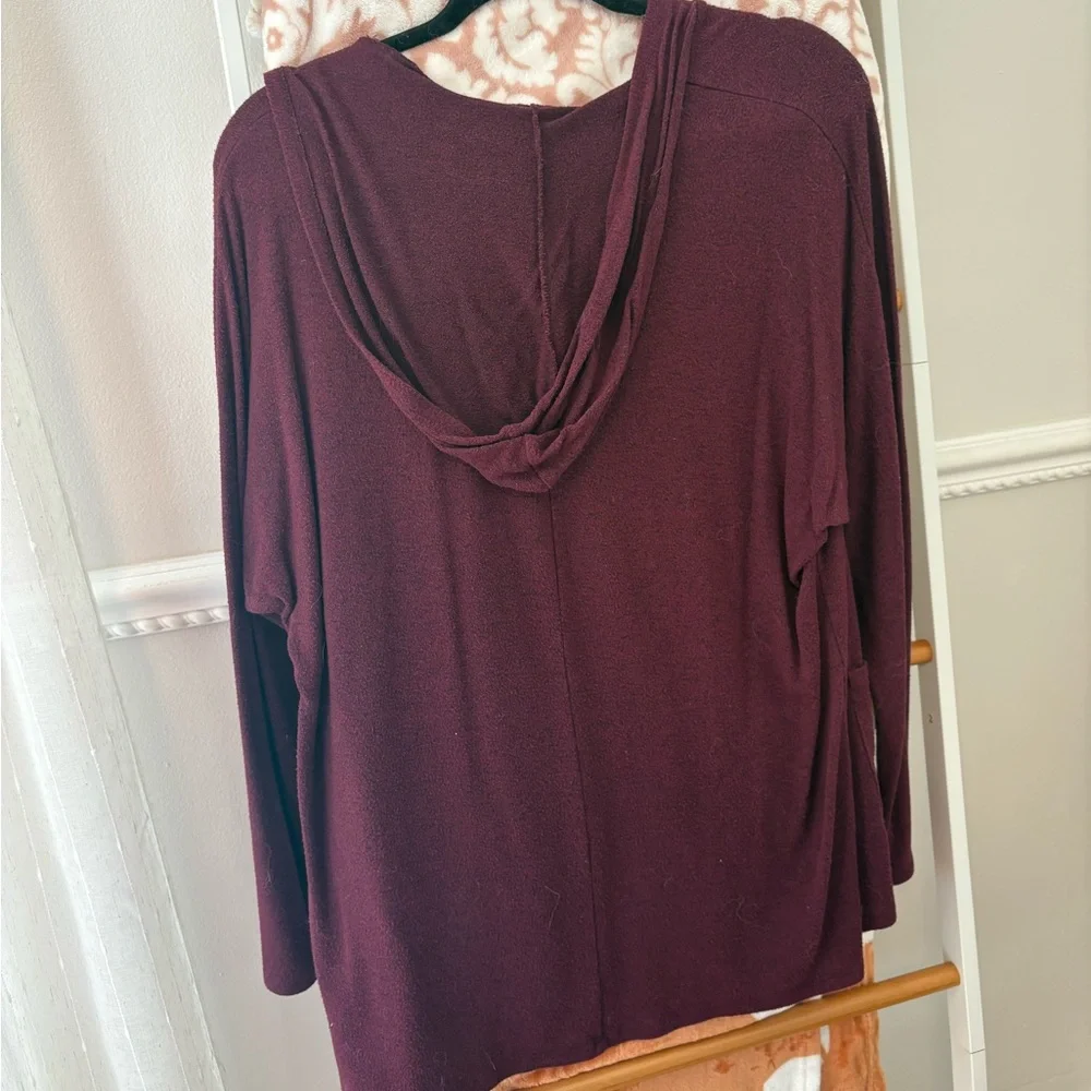 American Eagle Hooded Cardigan
